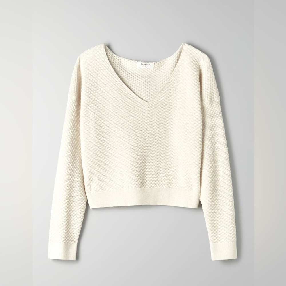 Aritzia Babaton Longsleeve V-neck cropped sweater